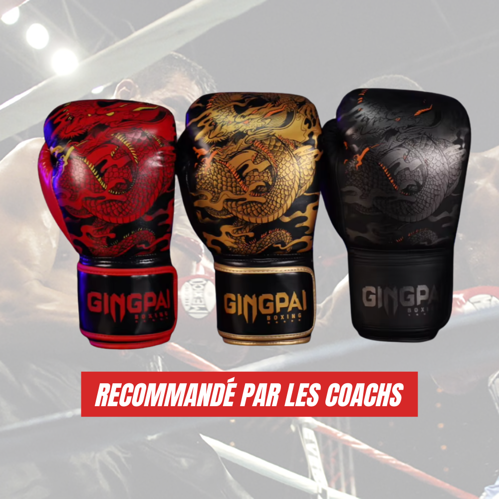 Gants de Boxe FIGHTORA – Confort, protection et performance